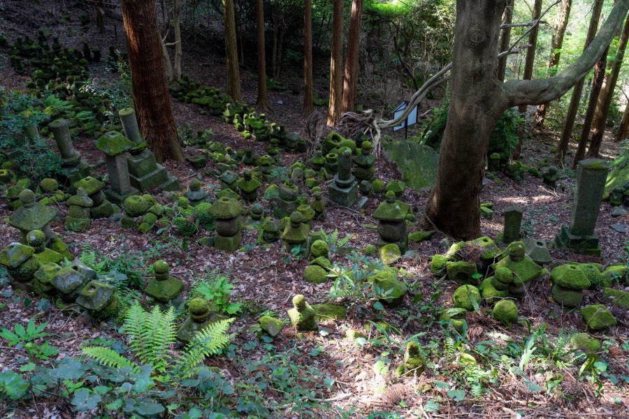 Oita, Spring 2024, Japan. Photograph by Jordy Meow, 11/11