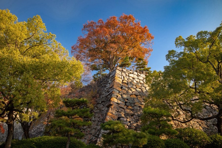 Okayama, Autumn 2018, Japan. Photograph by Jordy Meow, 1/11
