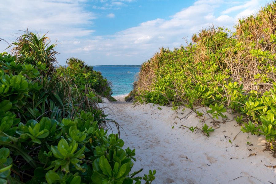 Okinawa, Autumn 2012, Japan. Photograph by Jordy Meow, 3/14