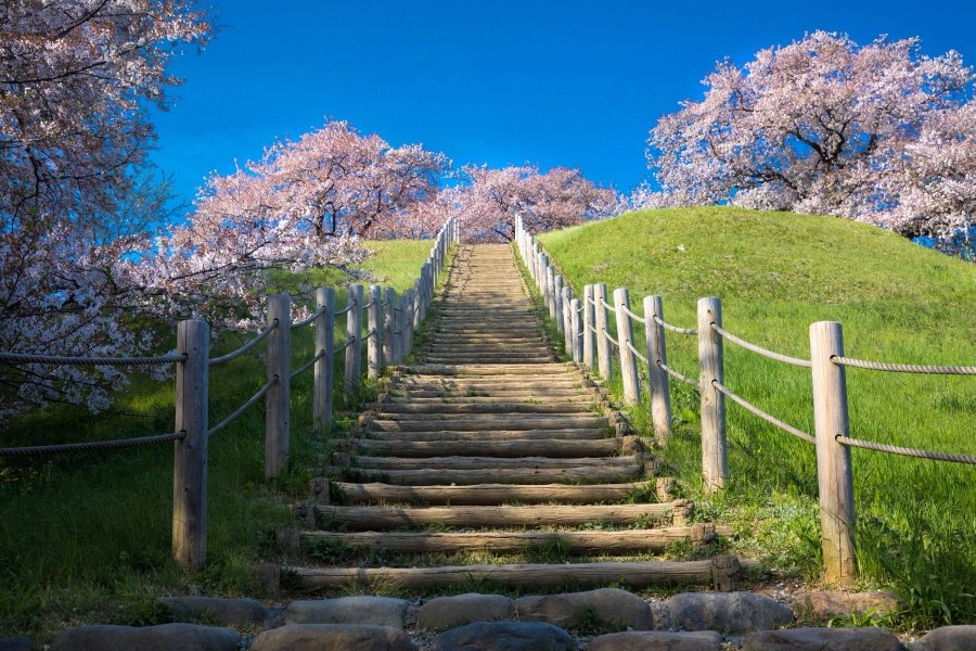 Saitama, Spring 2017, Japan. Photograph by Jordy Meow, 4/15