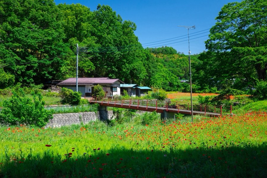 Saitama, Spring 2019, Japan. Photograph by Jordy Meow, 9/15
