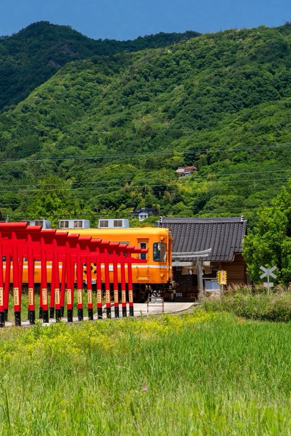Shimane, Spring 2026, Japan. Photograph by Jordy Meow, 1/15