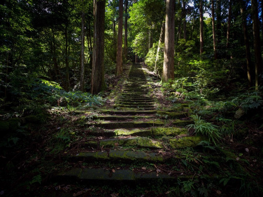 Shimane, Summer 2020, Japan. Photograph by Jordy Meow, 132/229