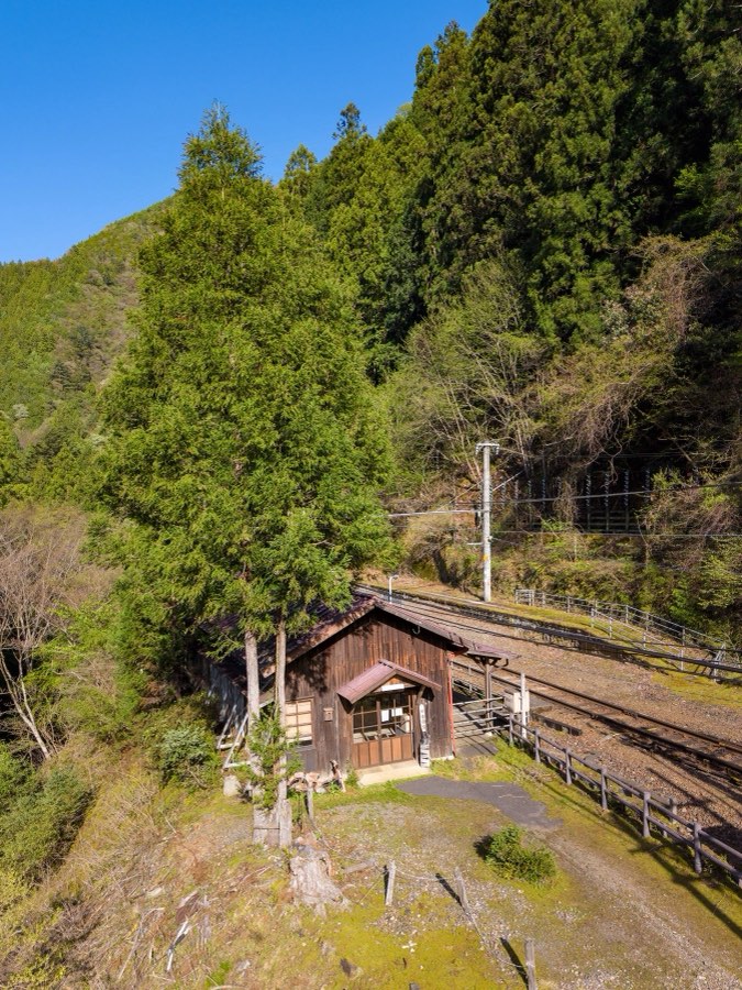 Shizuoka, Spring 2026, Japan. Photograph by Jordy Meow, 12/25