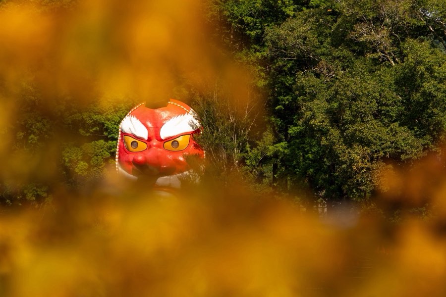Shizuoka, Autumn 2025, Japan. Photograph by Jordy Meow, 13/25