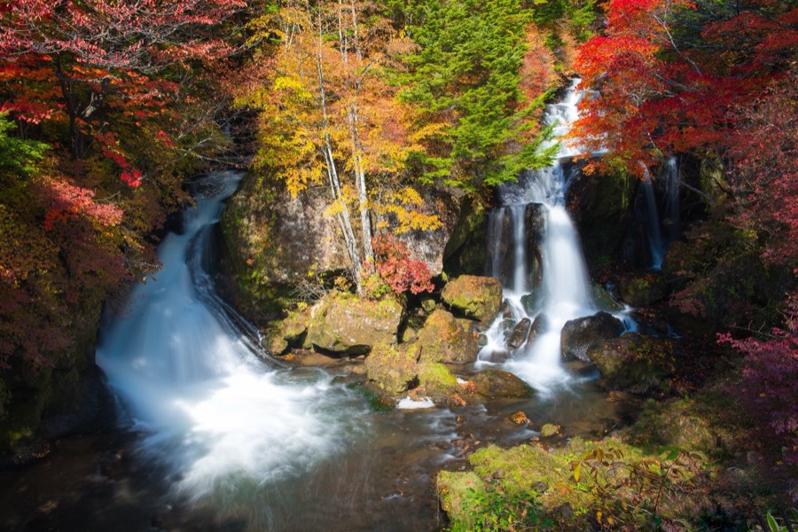 Tochigi, Autumn 2012, Japan. Photograph by Jordy Meow, 7/22