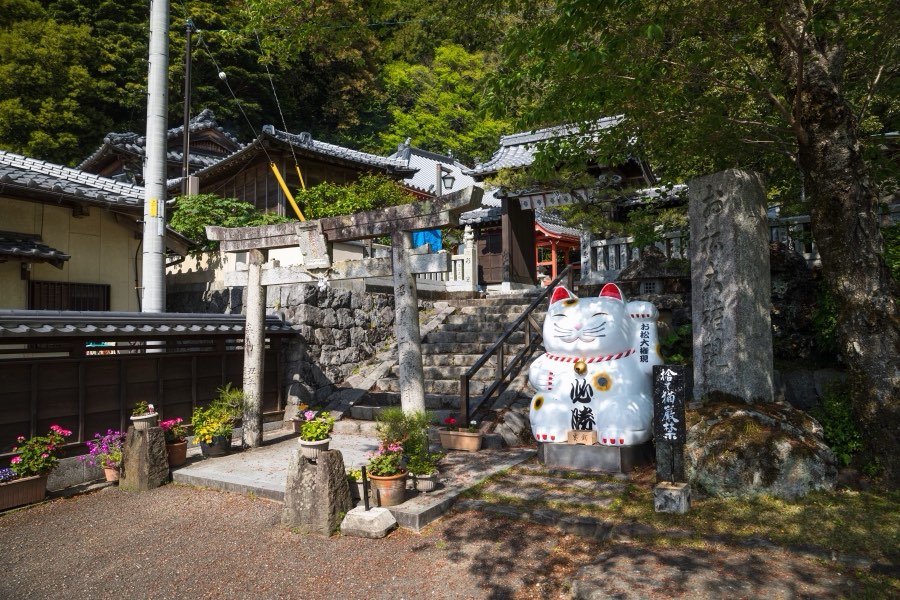 Tokushima, Spring 2019, Japan. Photograph by Jordy Meow, 3/9
