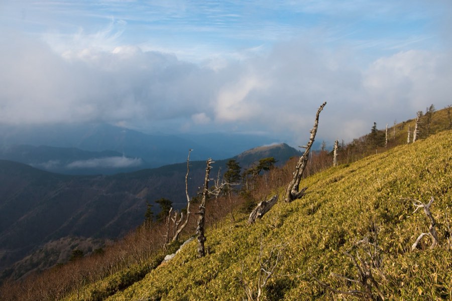 Tokushima, Autumn 2015, Japan. Photograph by Jordy Meow, 8/9