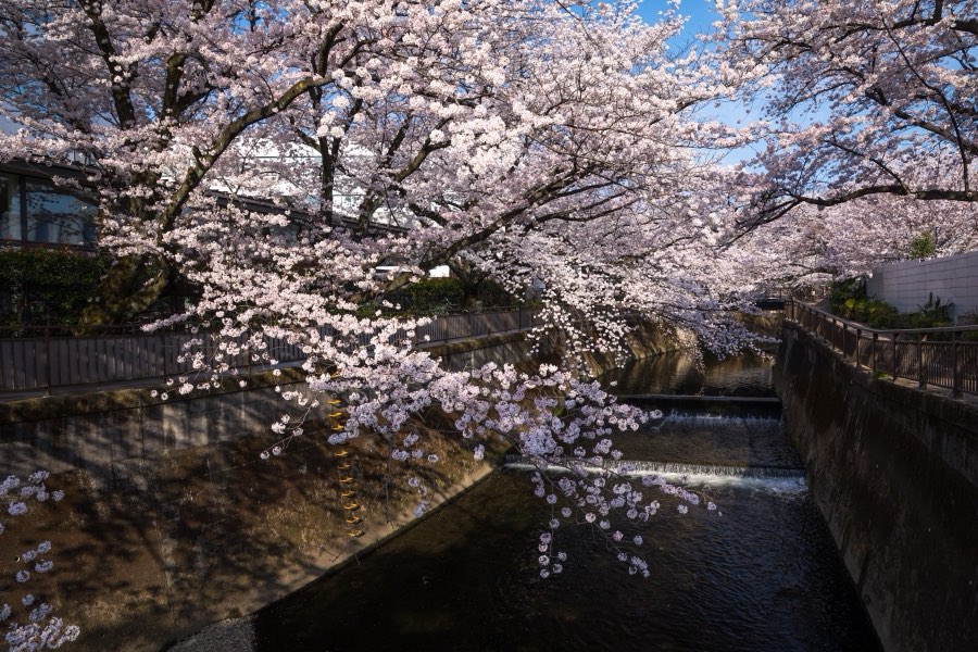 Tokyo, Spring 2018, Japan. Photograph by Jordy Meow, 21/33