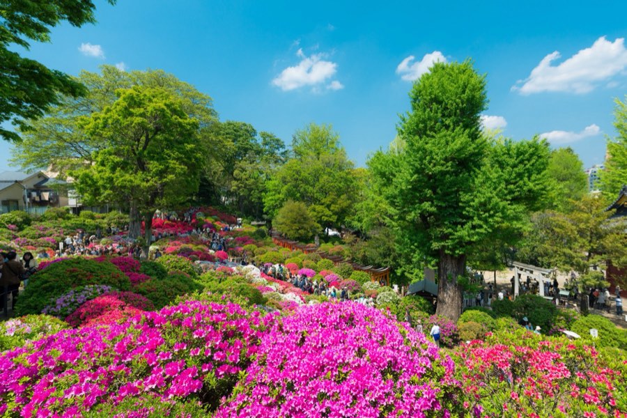 Tokyo, Spring 2014, Japan. Photograph by Jordy Meow, 32/33