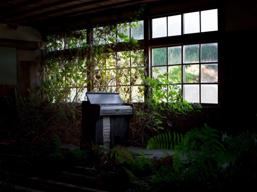 Wakayama, Autumn 2019, Japan. Photograph by Jordy Meow, 2/15