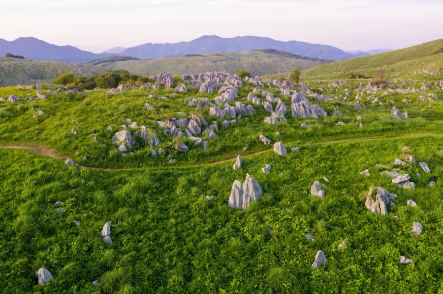 Yamaguchi, Summer 2020, Japan. Photograph by Jordy Meow, 7/19