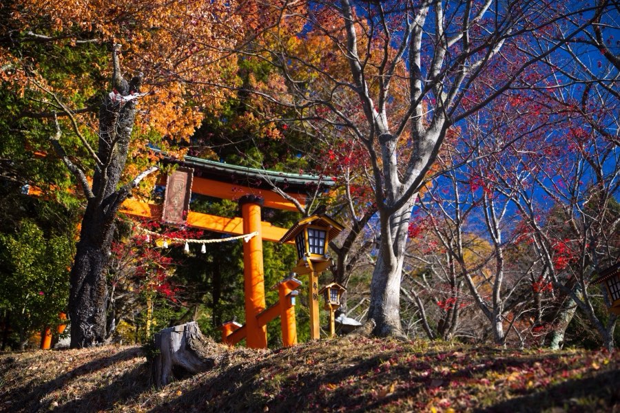 Yamanashi, Autumn 2017, Japan. Photograph by Jordy Meow, 7/25