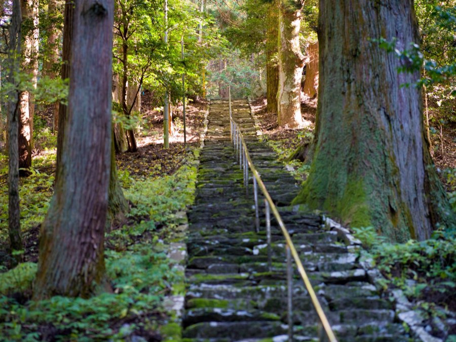 Yamanashi, Autumn 2020, Japan. Photograph by Jordy Meow, 17/25