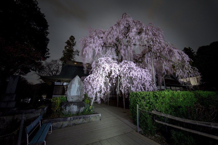 Yamanashi, Spring 2017, Japan. Photograph by Jordy Meow, 21/25